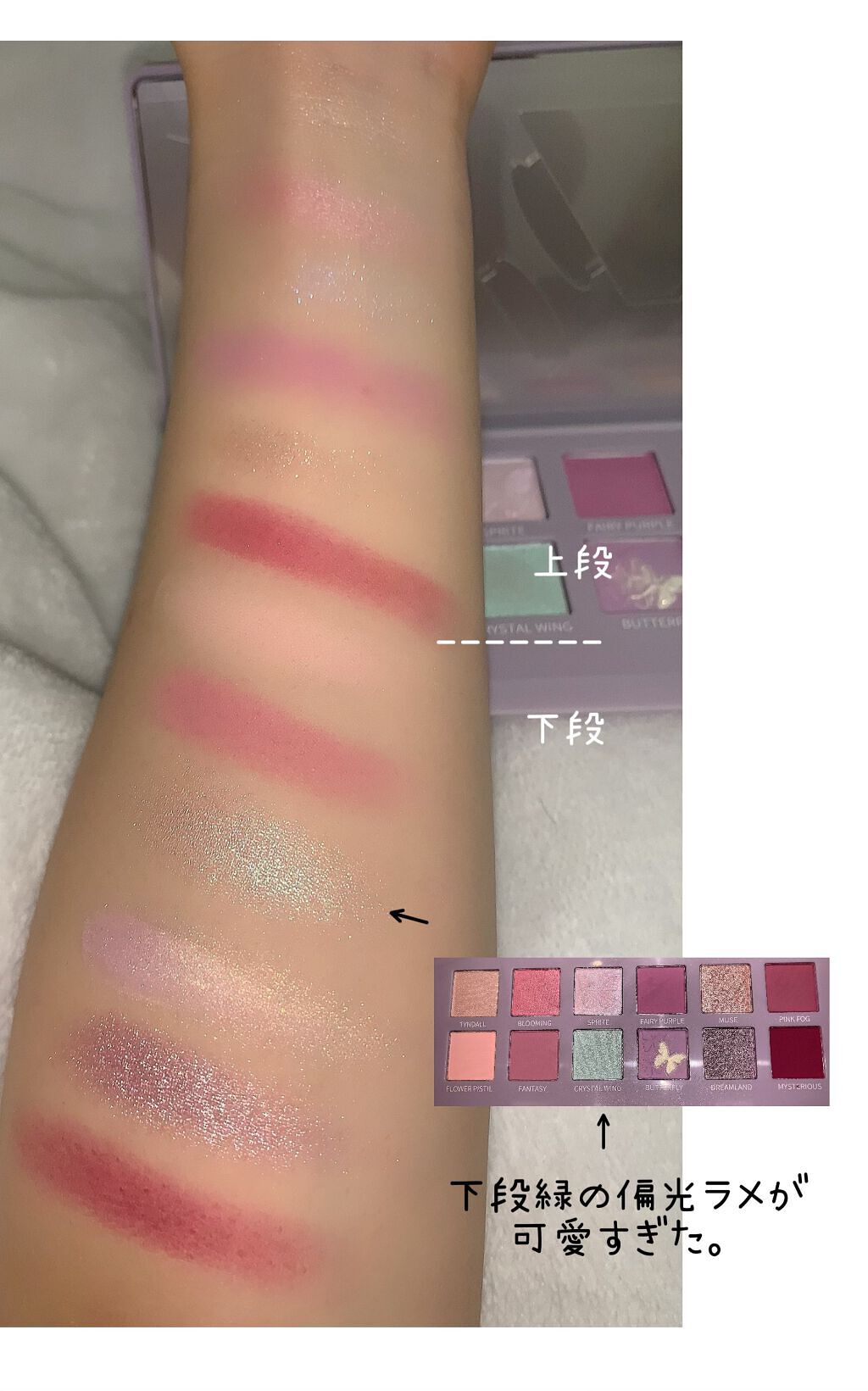 エクスプローラ12色 動物アイシャドウパレット/PERFECT DIARY/アイシャドウパレットを使ったクチコミ（2枚目）