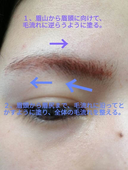 フィルム眉カラー/デジャヴュ/眉マスカラを使ったクチコミ(2枚目)