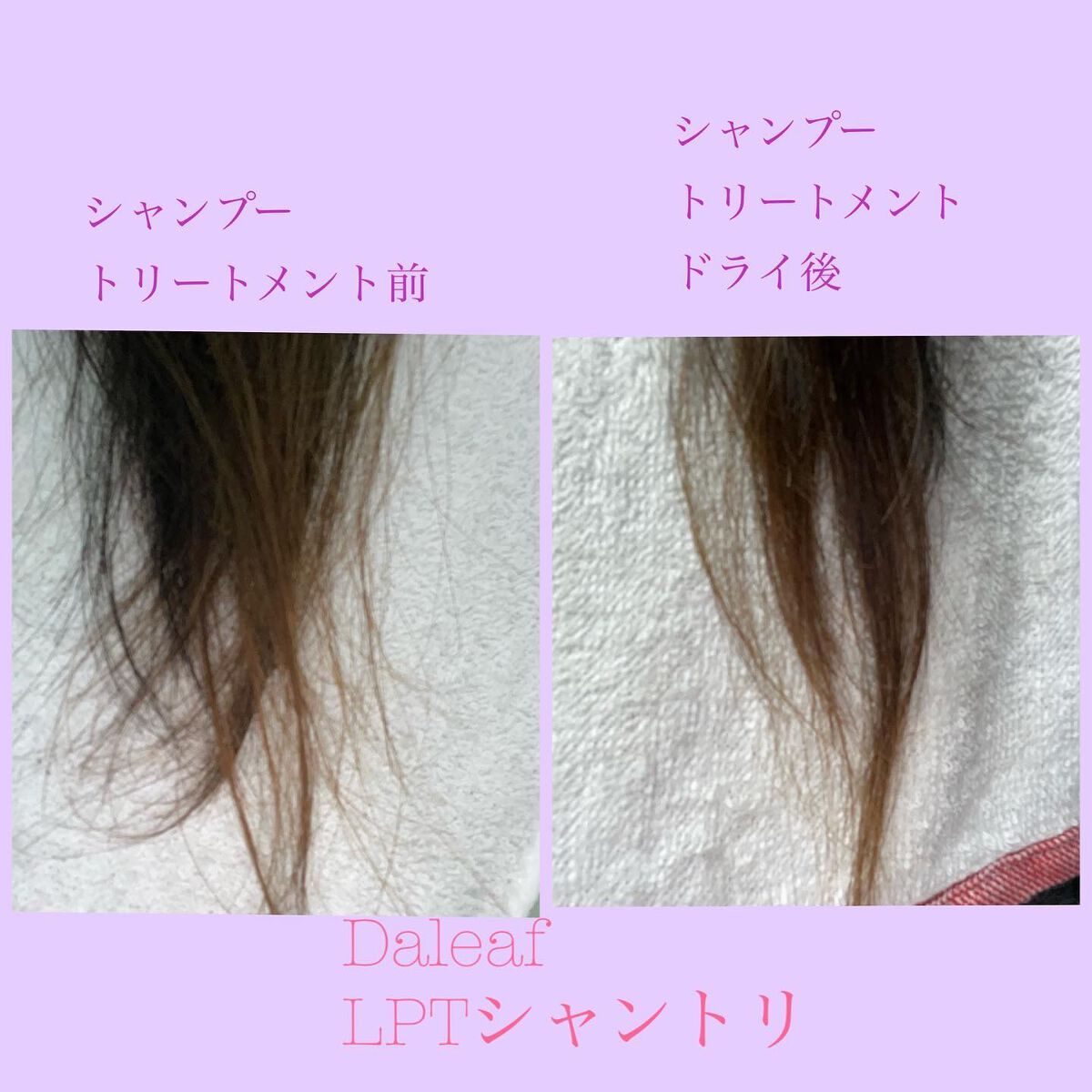 LPTケラチンリペアシャンプー/Daleaf/市販シャンプーを使ったクチコミ(4枚目)