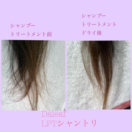 LPTケラチンリペアシャンプー/Daleaf/市販シャンプーを使ったクチコミ(4枚目)