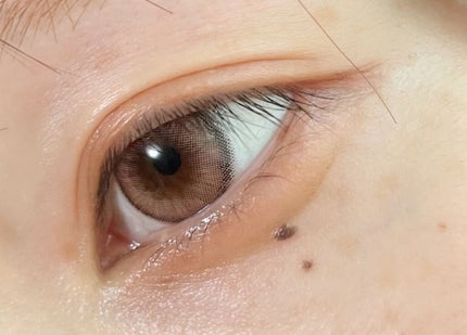 セルヴォーク ヴォランタリー アイズ/Celvoke/単色アイシャドウを使ったクチコミ(1枚目)