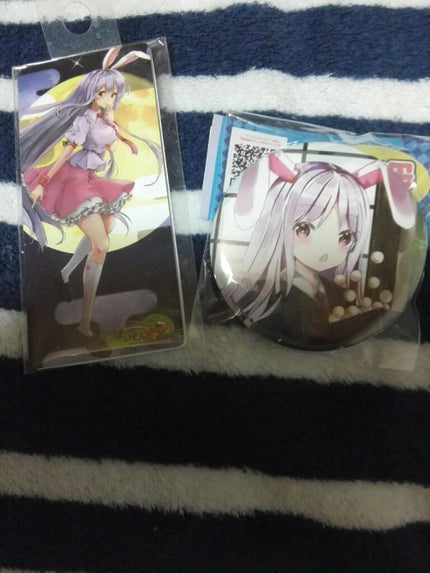 六花 on LIPS 「ども、六花です🐰お盆なので、次男の好きだった東方の曲流してまし..」(1枚目)