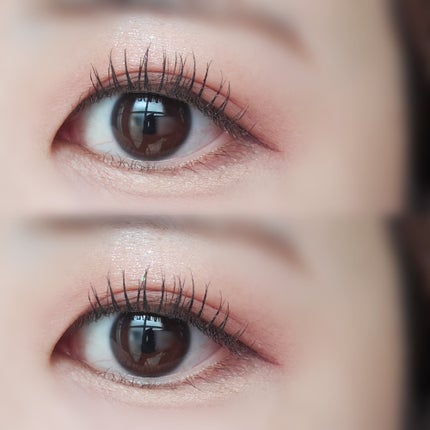 シャドウパレット/dasique/アイシャドウパレットを使ったクチコミ(2枚目)