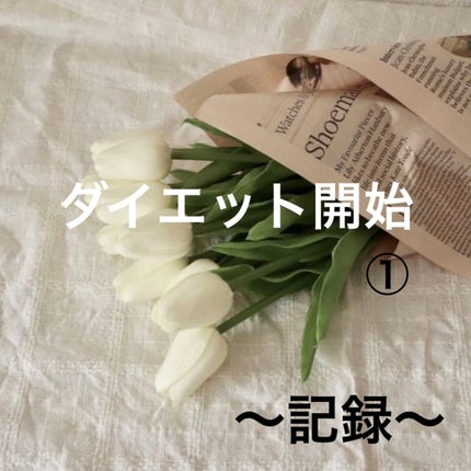 é»çéŸè¶/ãµã³ããªãŒ/ããªã³ã¯ã䜿ã£ãã¯ãã³ãïŒ1æç®ïŒ