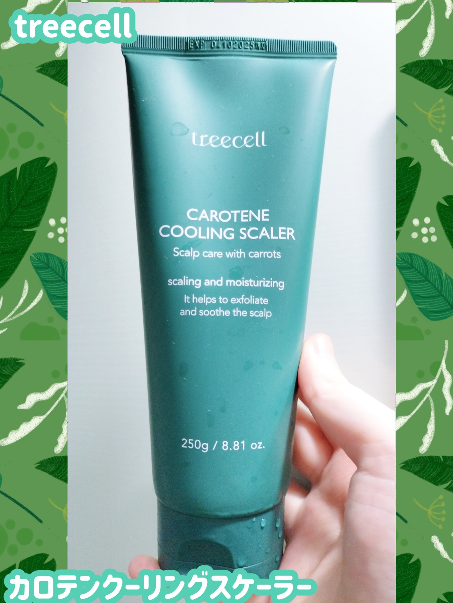 カロテンクーリングスケーラー/treecell/頭皮クレンジングを使ったクチコミ（1枚目）