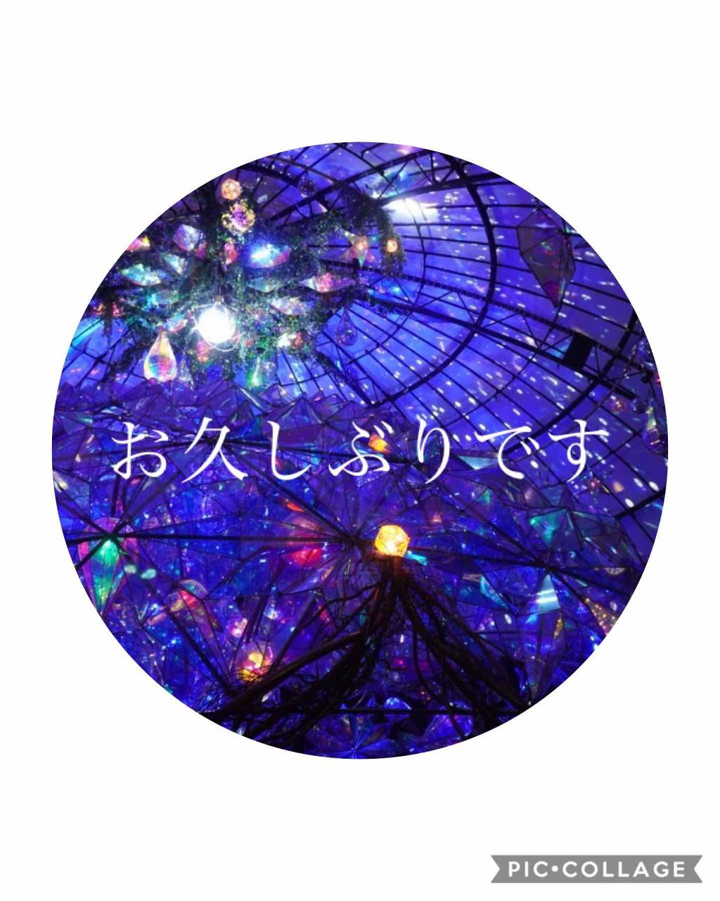 アイシャドウベース/キャンメイク/アイシャドウベースを使ったクチコミ（1枚目）