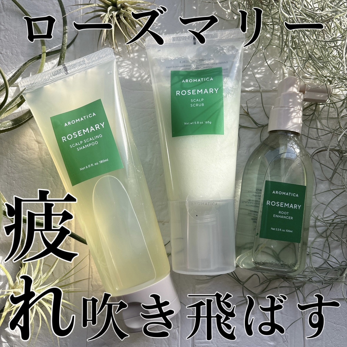ローズマリールートエンハンサー/AROMATICA/頭皮ローションを使ったクチコミ（1枚目）