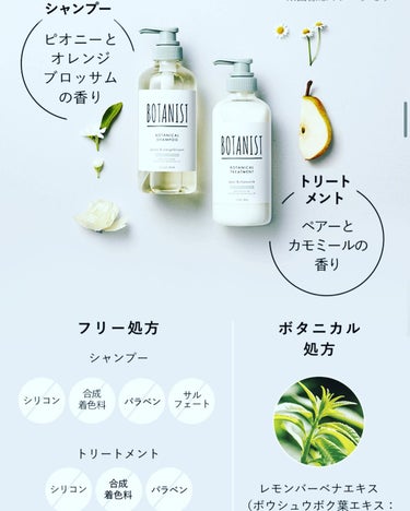 ボタニカルシャンプー／トリートメント(バウンシーボリューム)  トリートメント/BOTANIST/シャンプー・コンディショナーを使ったクチコミ（3枚目）