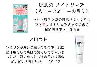 ナイトリップ/CHOOSY/リップケア・リップクリームを使ったクチコミ（3枚目）