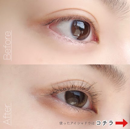 リアルクローズシャドウ/excel/アイシャドウパレットを使ったクチコミ(2枚目)