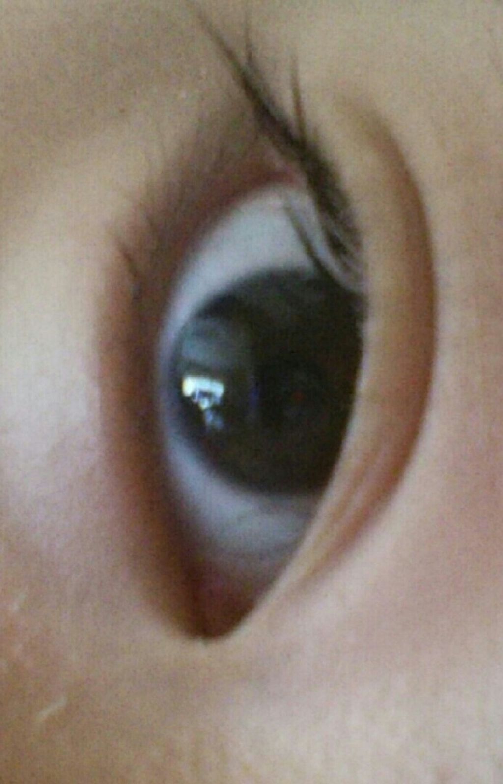 クリア マスカラR/CEZANNE/マスカラ下地を使ったクチコミ（3枚目）