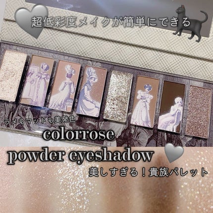 マット&シマー パウダーアイシャドウパレット/COLORROSE/アイシャドウパレットを使ったクチコミ(1枚目)