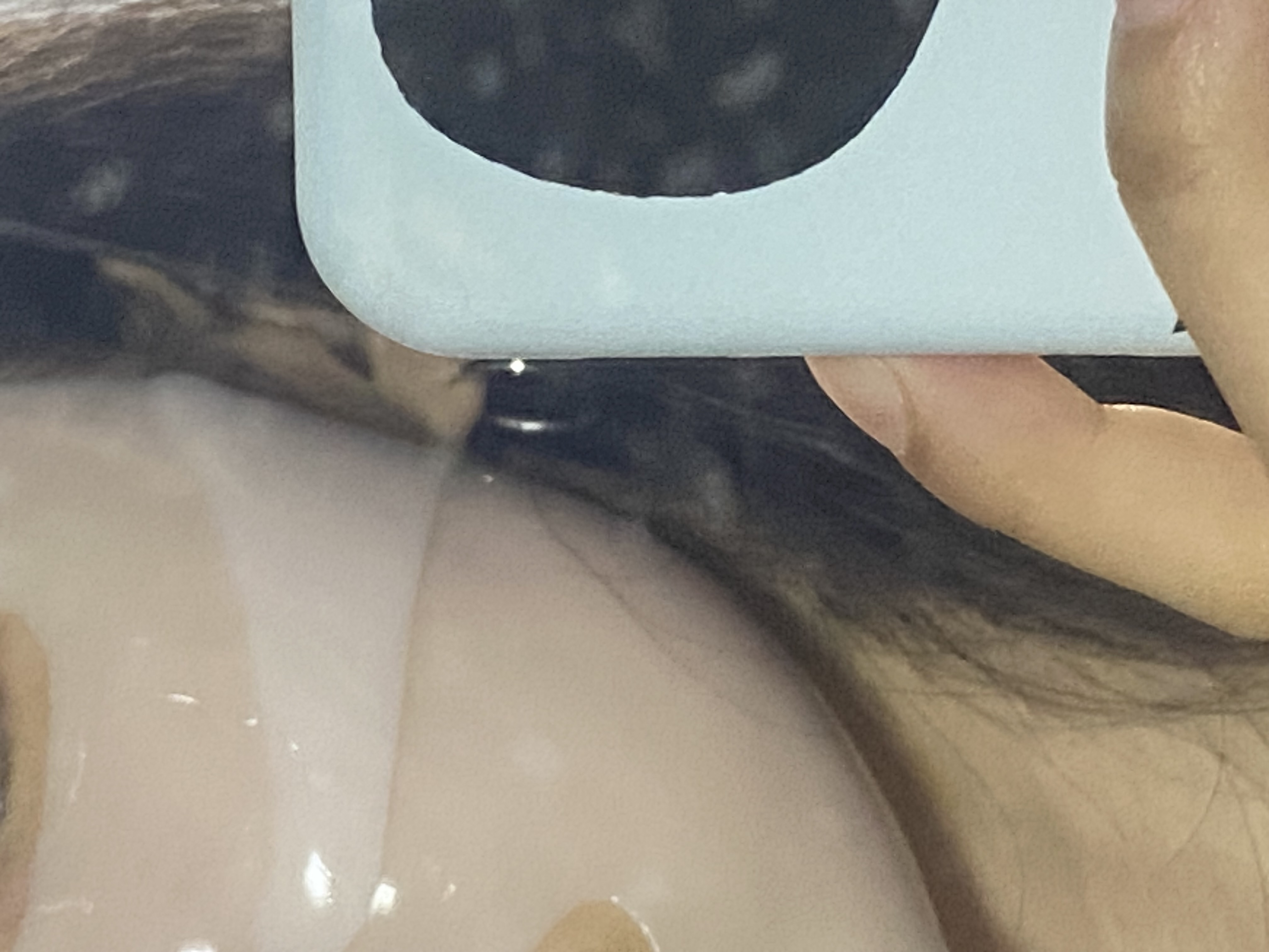 バイオコラーゲンリアルディープマスク/Biodance/シートマスク・パックを使ったクチコミ（3枚目）