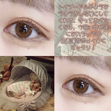 Rluuchy Oneday/Torico Eye./カラーコンタクトレンズを使ったクチコミ(3枚目)