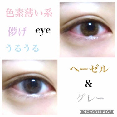 Angelcolor Bambi Series Vintage 1day/AngelColor/ワンデー（１DAY）カラコンを使ったクチコミ（1枚目）