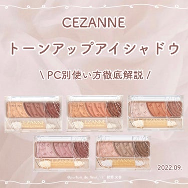 トーンアップアイシャドウ/CEZANNE/アイシャドウパレットを使ったクチコミ（1枚目）