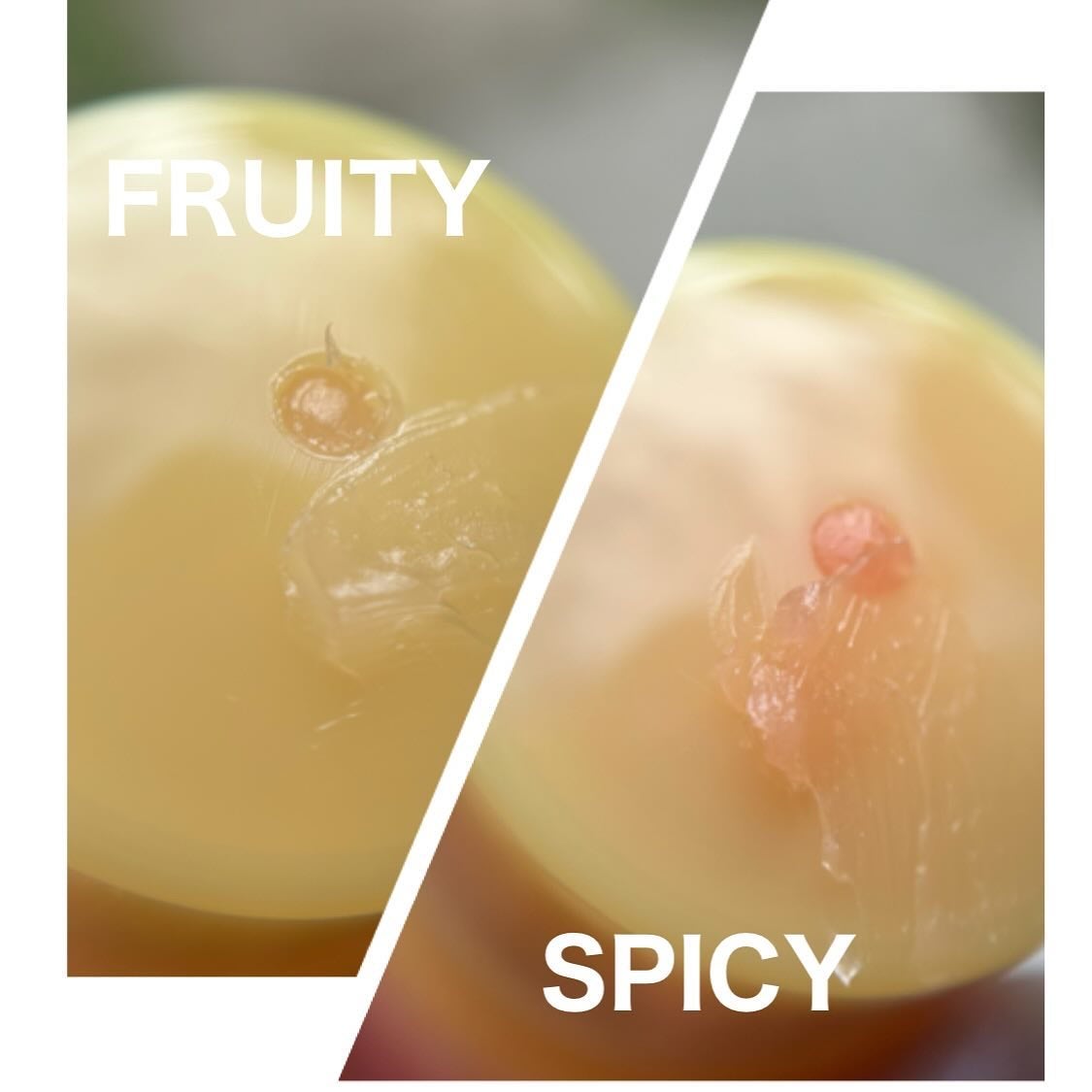 プロポリスリップセリン スパイシー/CNP Laboratory/リップクリームを使ったクチコミ(5枚目)