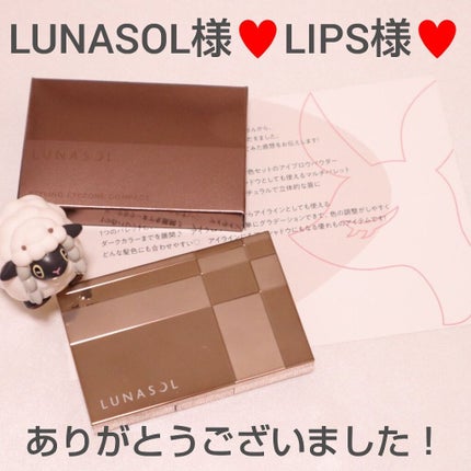 スタイリングアイゾーンコンパクト/LUNASOL/アイシャドウパレットを使ったクチコミ(3枚目)