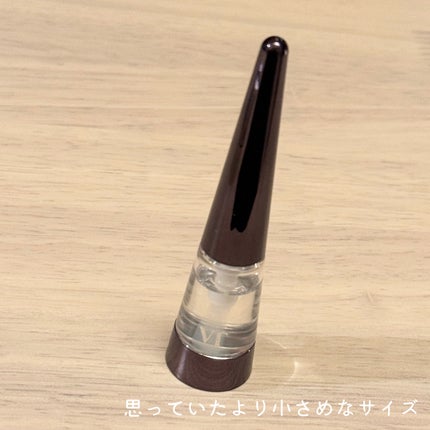 リードルS リッププランパーエキスパート/VT/リッププランパーを使ったクチコミ(2枚目)