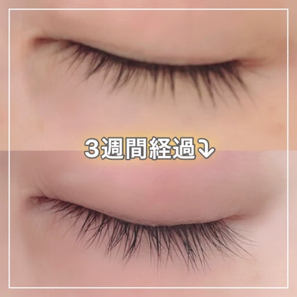 ラッシュアディクト アイラッシュコンディショニングセラム/soaddicted/まつげ美容液を使ったクチコミ(3枚目)