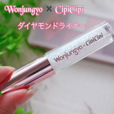 ウォンジョンヨ　ダイヤモンドライナー/Wonjungyo/リキッドアイシャドウを使ったクチコミ（1枚目）