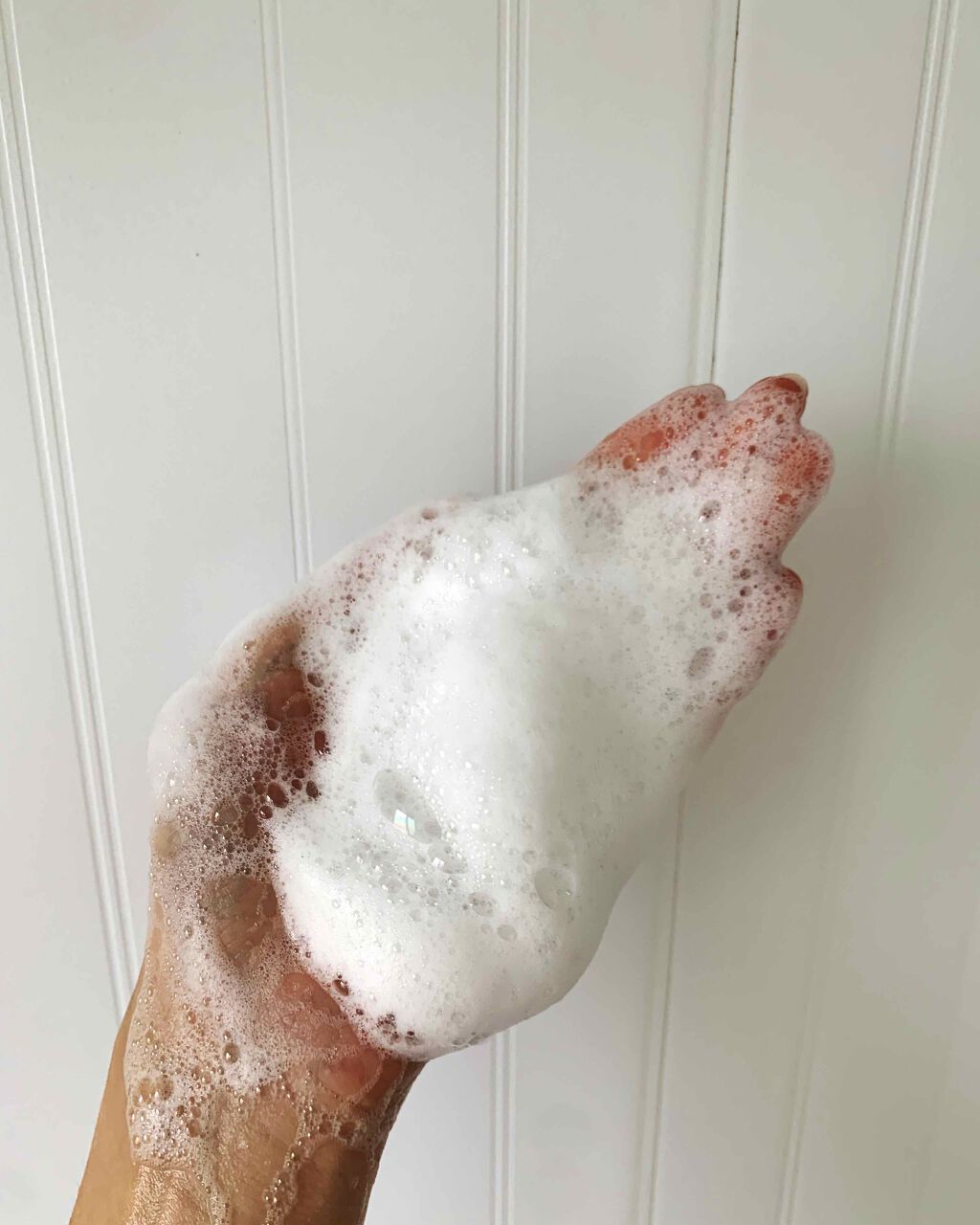 ã¹ã«ã«ãD ããŒã ããã¥ã©ã¹ã¿ãŒ ã¹ã«ã«ãã·ã£ã³ããŒïŒããªãŒãã¡ã³ãããã¯/ã¢ã³ãã¡ãŒ(ã¹ã«ã«ãD)/ã·ã£ã³ããŒã»ã³ã³ãã£ã·ã§ããŒã䜿ã£ãã¯ãã³ãïŒ2æç®ïŒ