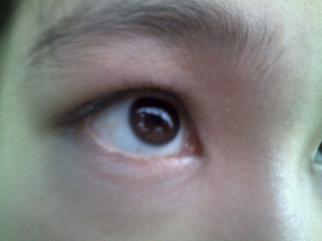 カンコレアイシャドウ/DAISO/アイシャドウパレットを使ったクチコミ（1枚目）