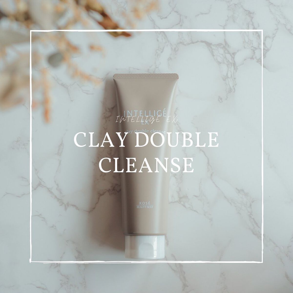 クレイ Ｗ クレンズ/アンテリージェEX/クレンジングクリームを使ったクチコミ（1枚目）