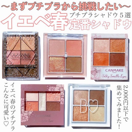 シルキースフレアイズ/キャンメイク/アイシャドウパレットを使ったクチコミ(1枚目)