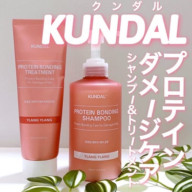 クンダル ダメージケア シャンプー/トリートメント/KUNDAL/シャンプー・コンディショナーを使ったクチコミ（1枚目）