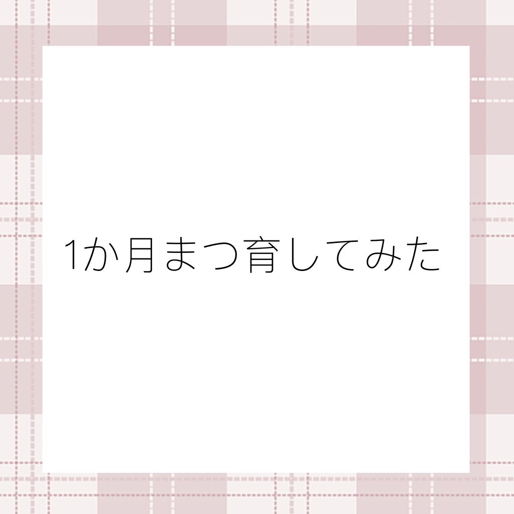 まつげ美容液EX/CEZANNE/まつげ美容液を使ったクチコミ（1枚目）