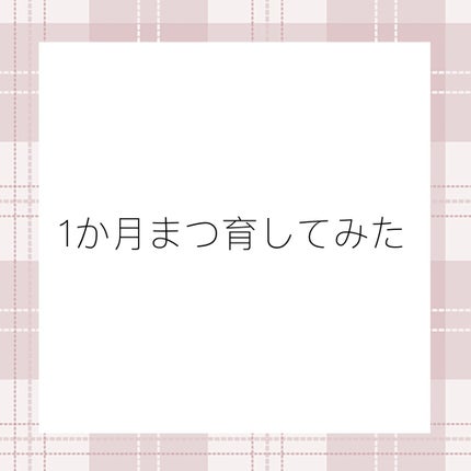 まつげ美容液EX/CEZANNE/まつげ美容液を使ったクチコミ(1枚目)