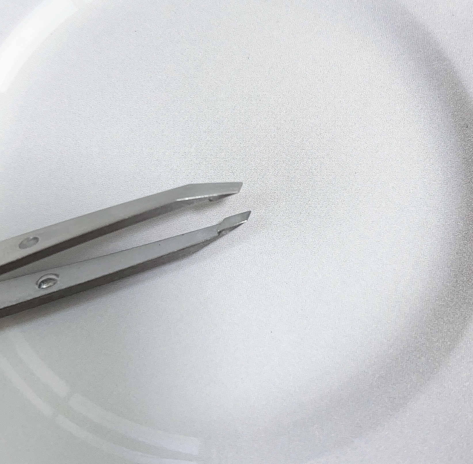 がっちりキャッチ毛抜き シルバー/貝印/毛抜きを使ったクチコミ（3枚目）