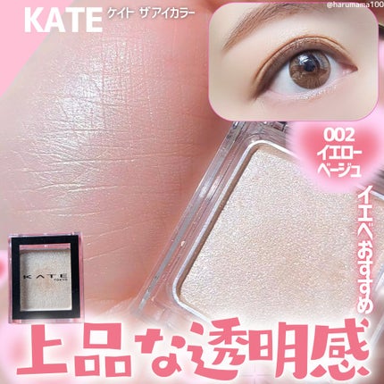 ケイト ザ アイカラー/KATE/単色アイシャドウを使ったクチコミ(1枚目)
