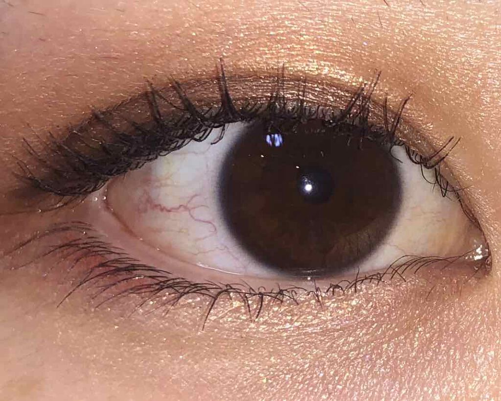 ダークローズシャドウ OR-1/KATE/アイシャドウパレットを使ったクチコミ（1枚目）