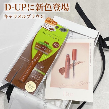 パーフェクトエクステンション マスカラ for カール/D-UP/マスカラを使ったクチコミ(1枚目)