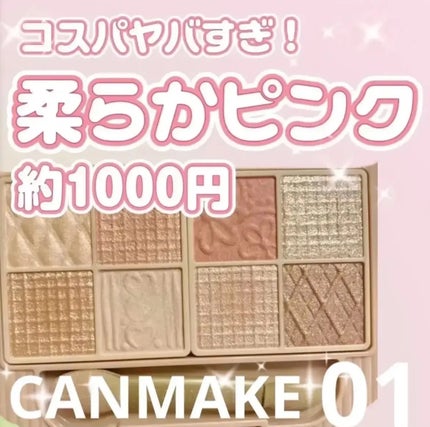 プティパレットアイズ/キャンメイク/パウダーアイシャドウを使ったクチコミ(1枚目)