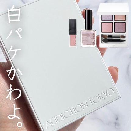 ホリデー アディクション サイレント ウィッシュⅠ/ADDICTION/メイクアップキットを使ったクチコミ(1枚目)