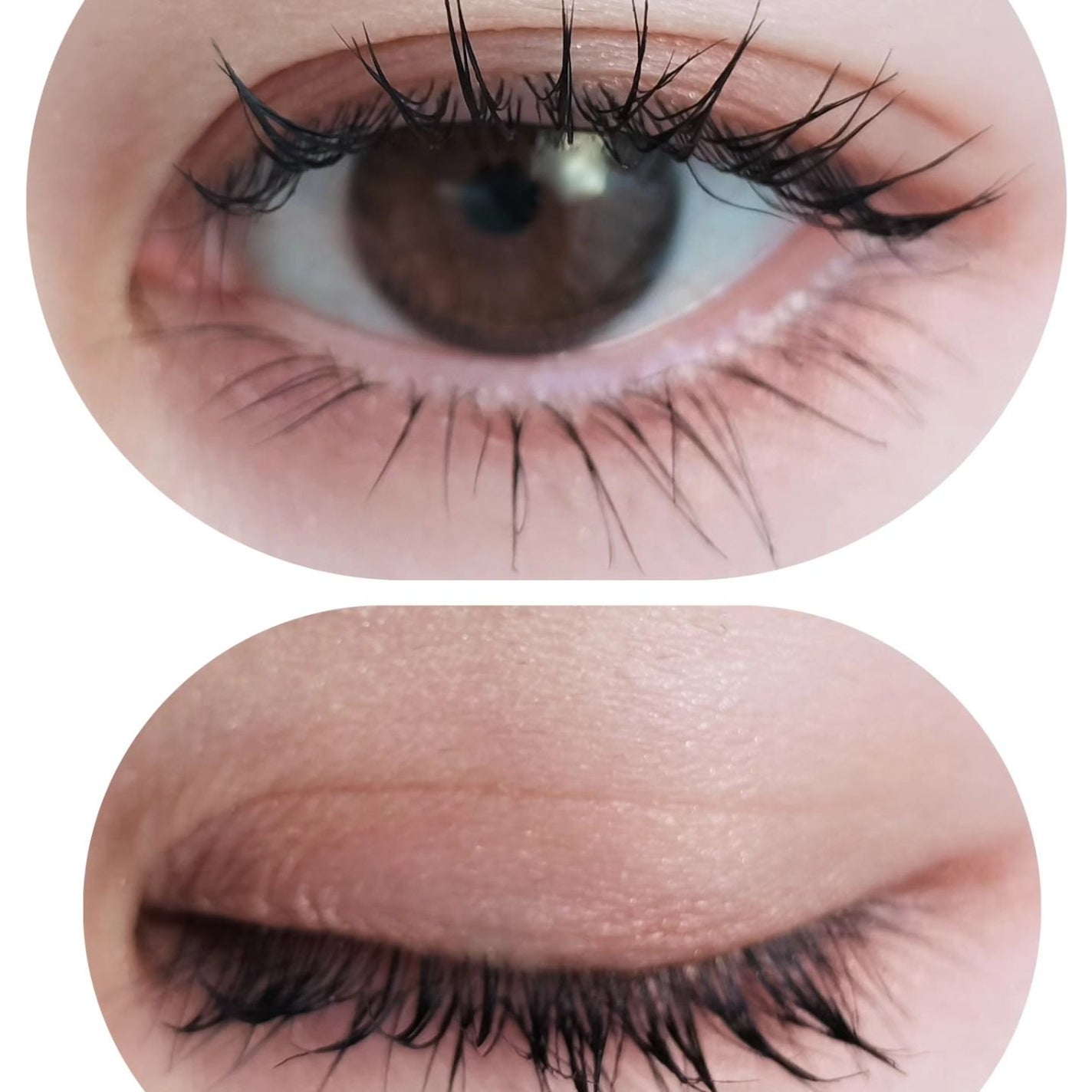 デザイニングブラウンアイズ/KATE/アイシャドウパレットを使ったクチコミ(4枚目)