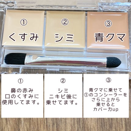 カラーミキシングコンシーラー/キャンメイク/パレットコンシーラーを使ったクチコミ(2枚目)