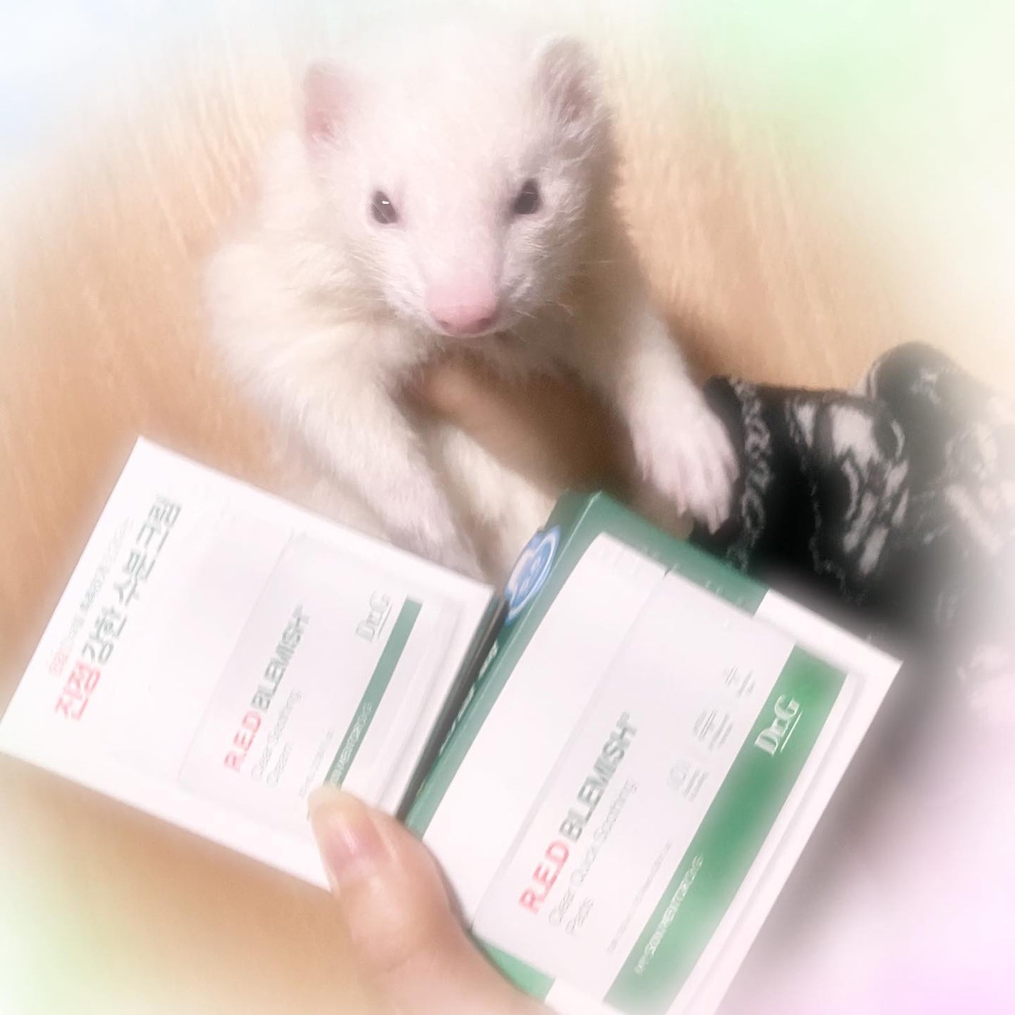 レッドブレミッシュクリアクイックスージングパック/Dr.G/拭き取り化粧水を使ったクチコミ(1枚目)