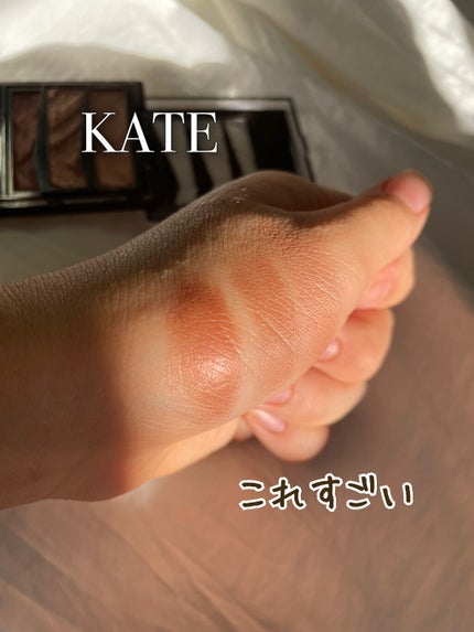 パーツリサイズシャドウ/KATE/アイシャドウパレットを使ったクチコミ(1枚目)