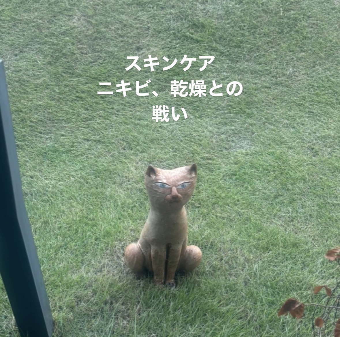 トリシカバリアカーミングアンプル/SKIN&LAB/美容液を使ったクチコミ（1枚目）