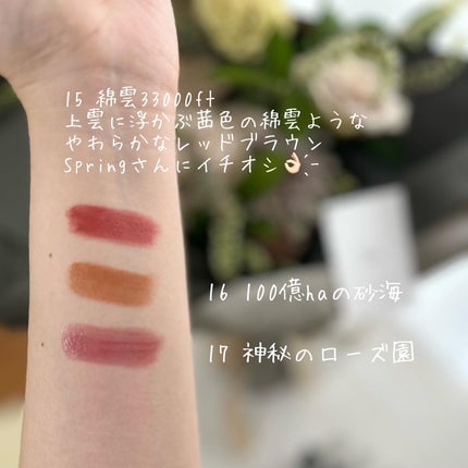 ケイト リップモンスター/KATE/口紅を使ったクチコミ(3枚目)