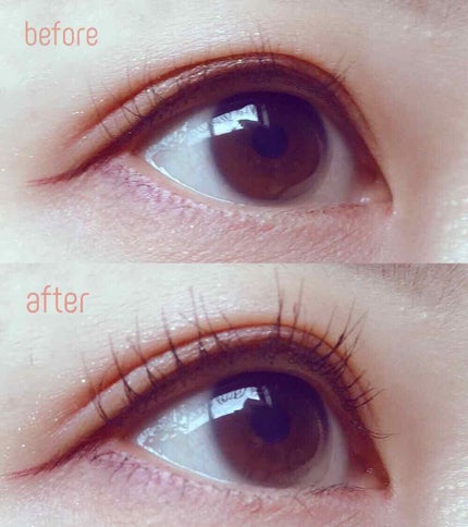 ラッシュティント/MAJOLICA MAJORCA/マスカラを使ったクチコミ(2枚目)