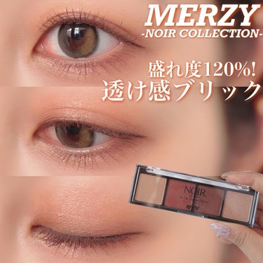 ノワール イン ザ シャドウパレット/MERZY/パウダーアイシャドウを使ったクチコミ（1枚目）