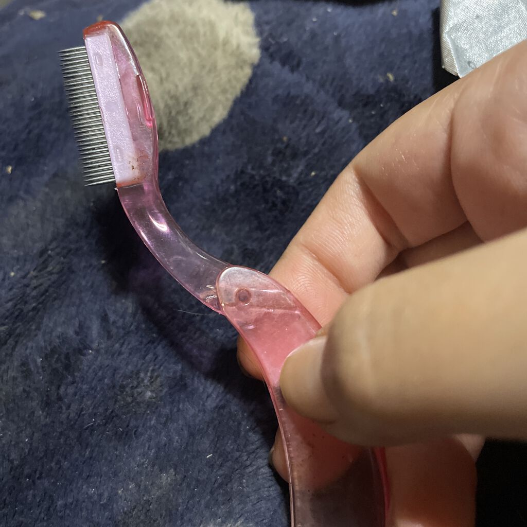 マスカラコーム メタルN（ナチュラル）/チャスティ/その他化粧小物を使ったクチコミ（2枚目）