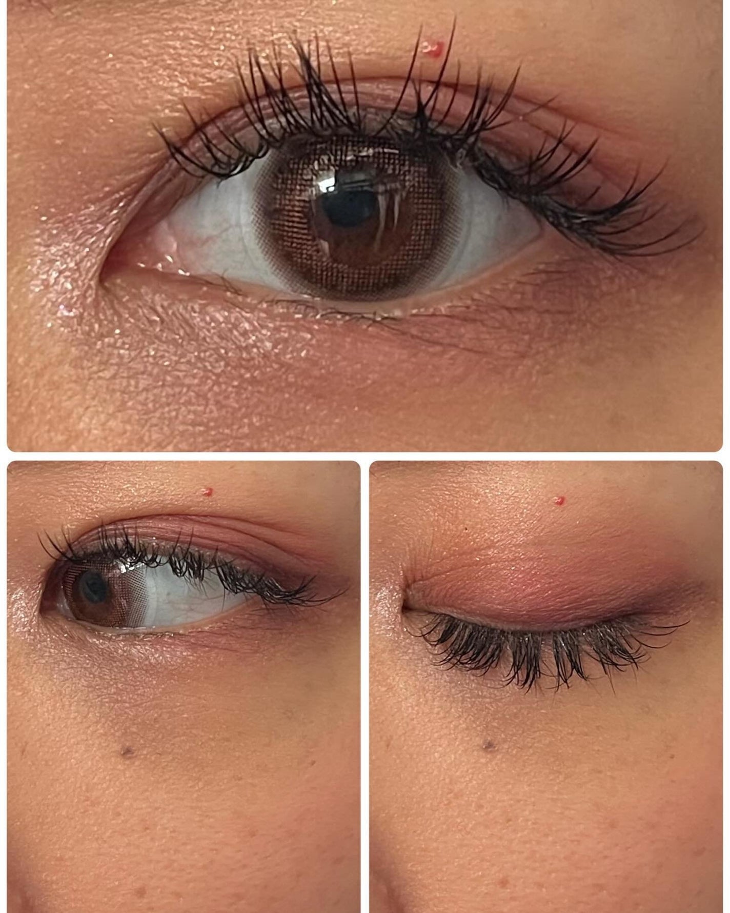 TOPARDS 1day/TOPARDS/ワンデー(1DAY)カラコンを使ったクチコミ(5枚目)