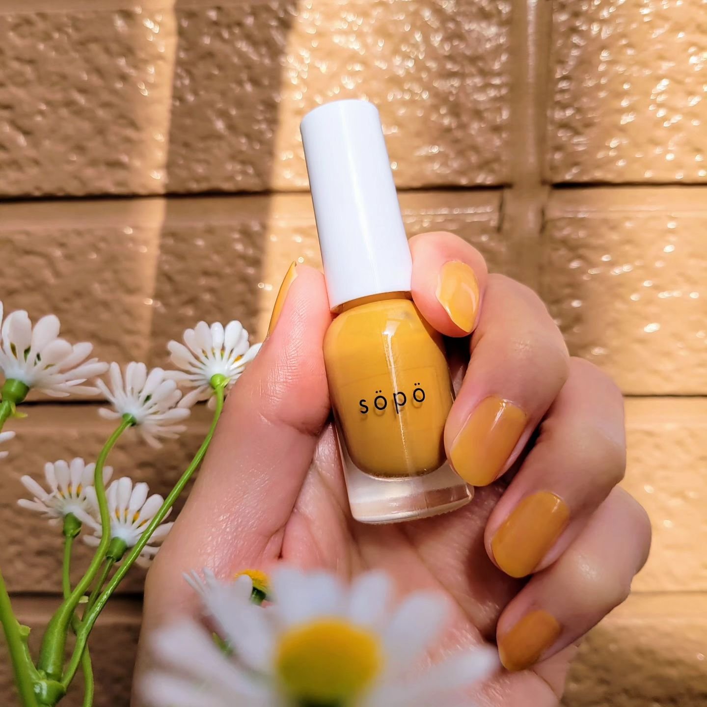 ネイルポリッシュ/sopo/マニキュアを使ったクチコミ（1枚目）