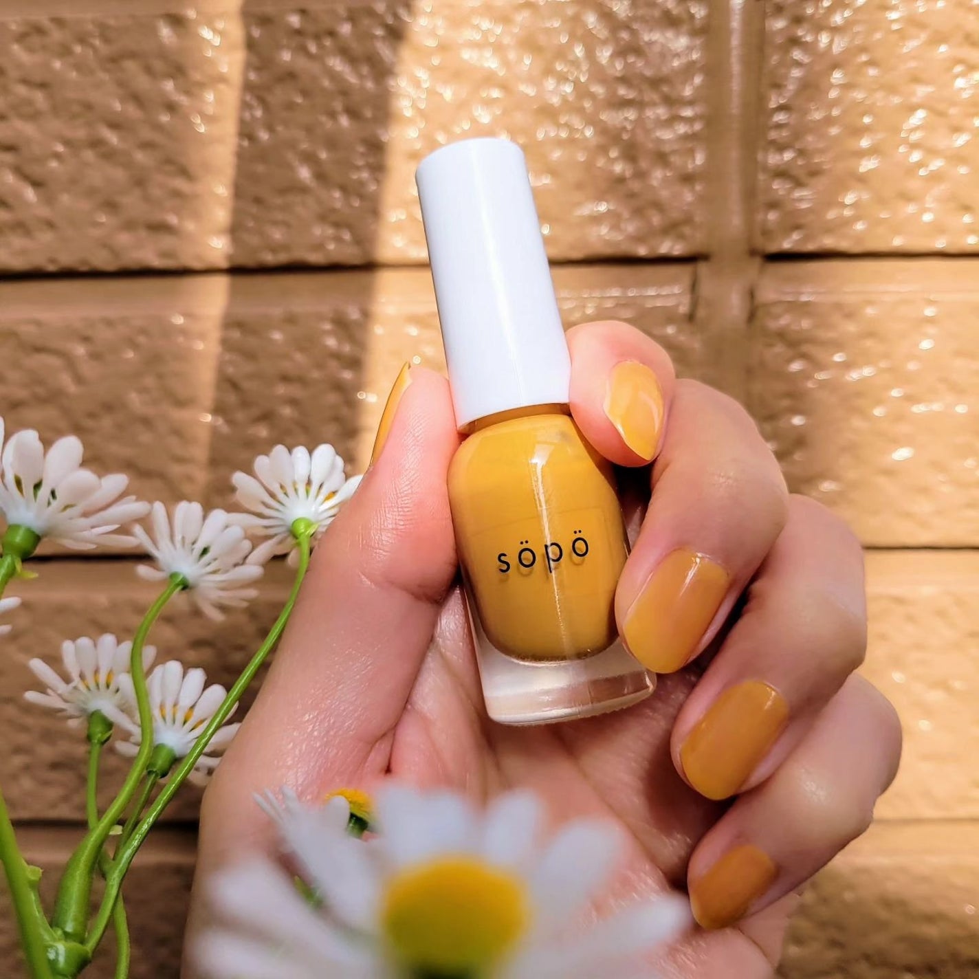 パウダー&ライナー/sopo/スティックアイシャドウを使ったクチコミ(1枚目)